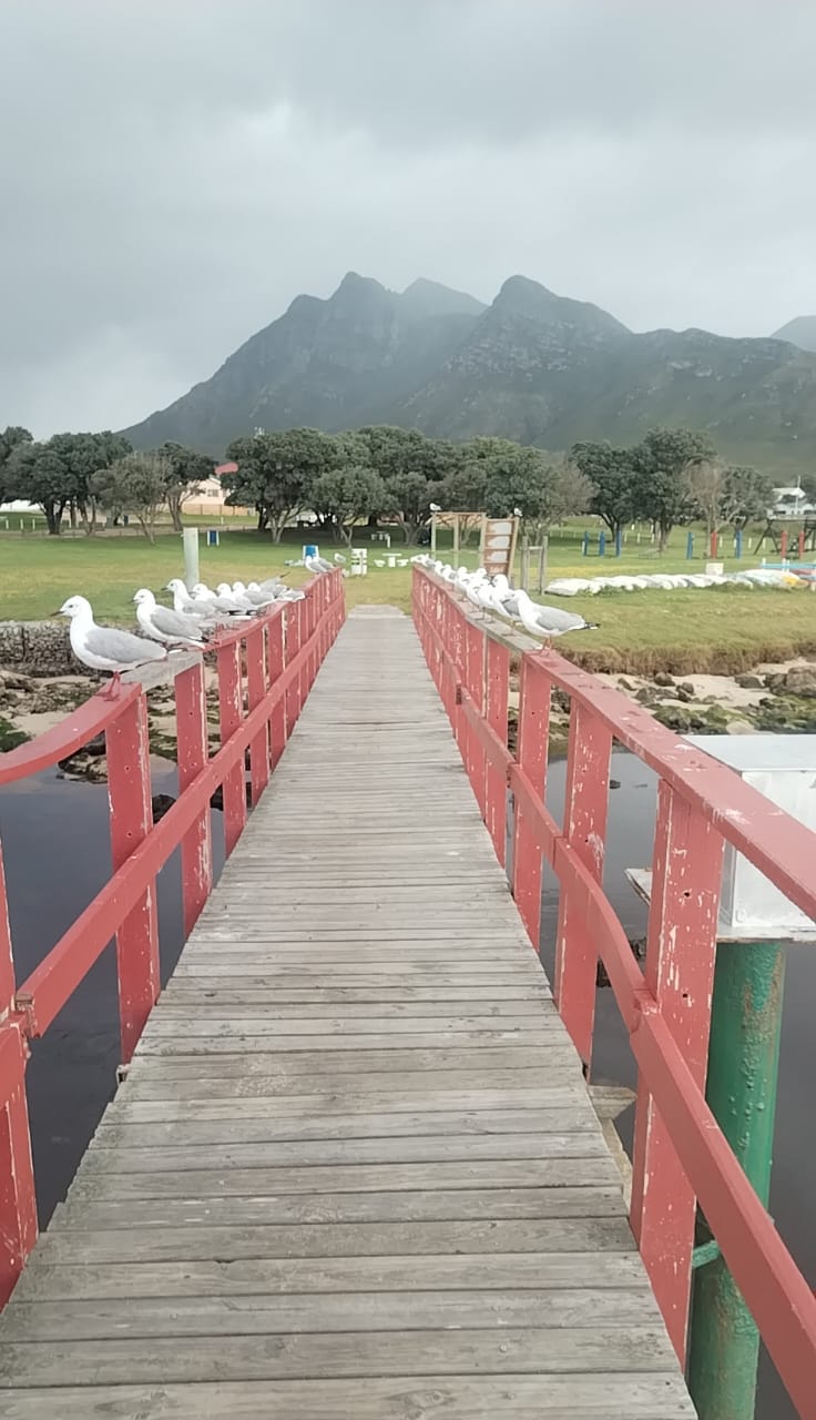 Commercial Property for Sale in Kleinmond Western Cape